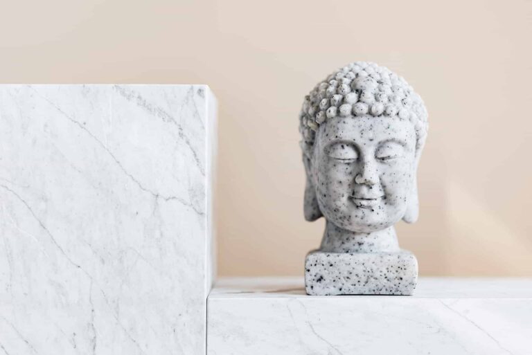 Sed sed metus vitae tellus